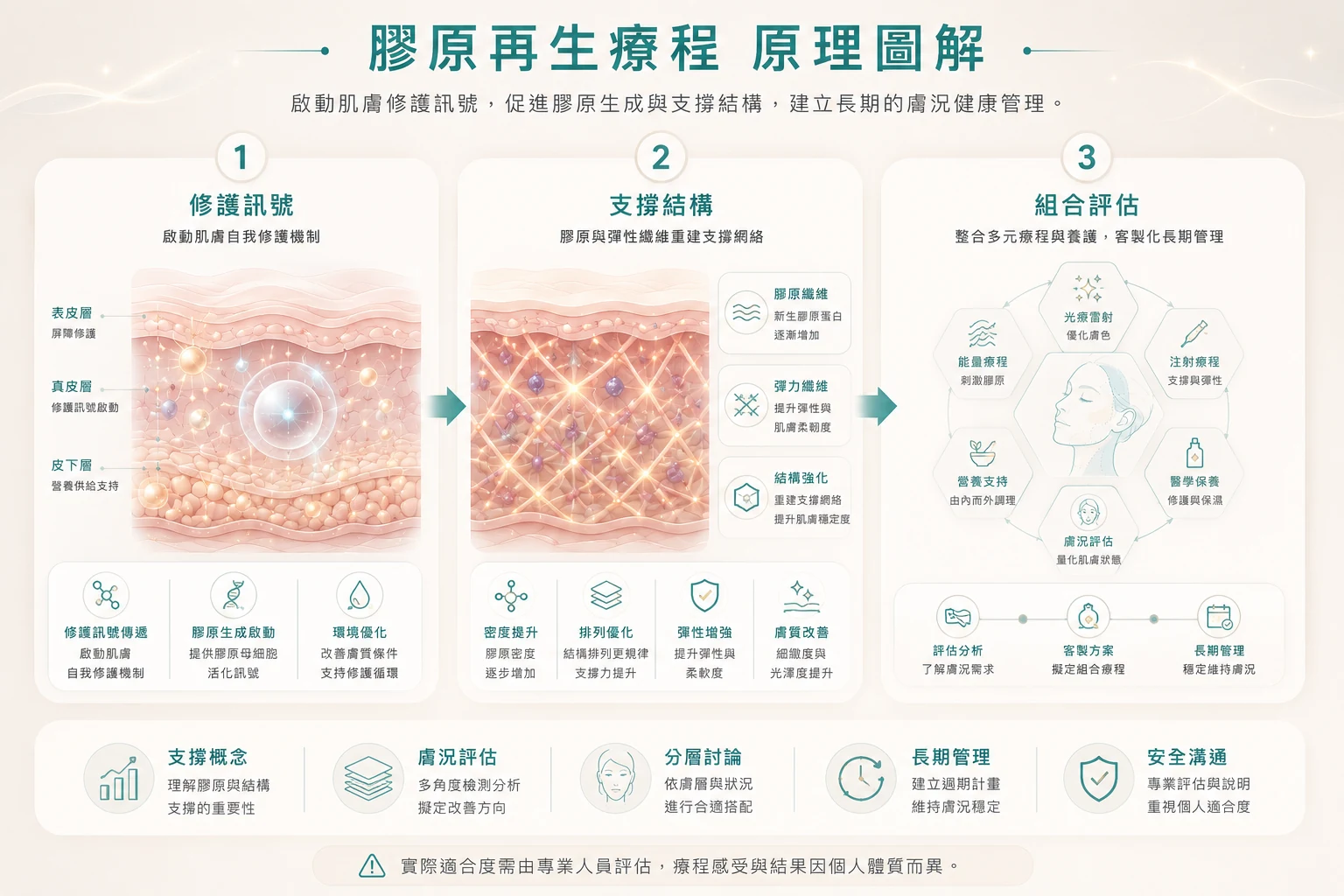 膠原再生療程原理圖
