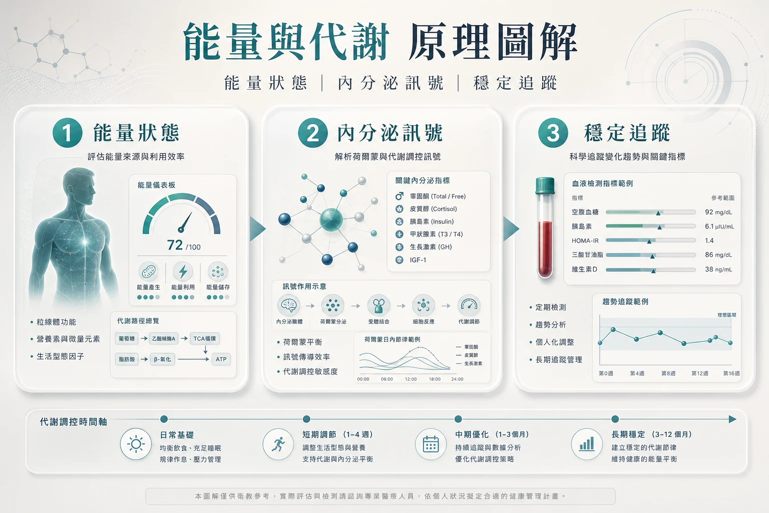 能量與代謝原理圖