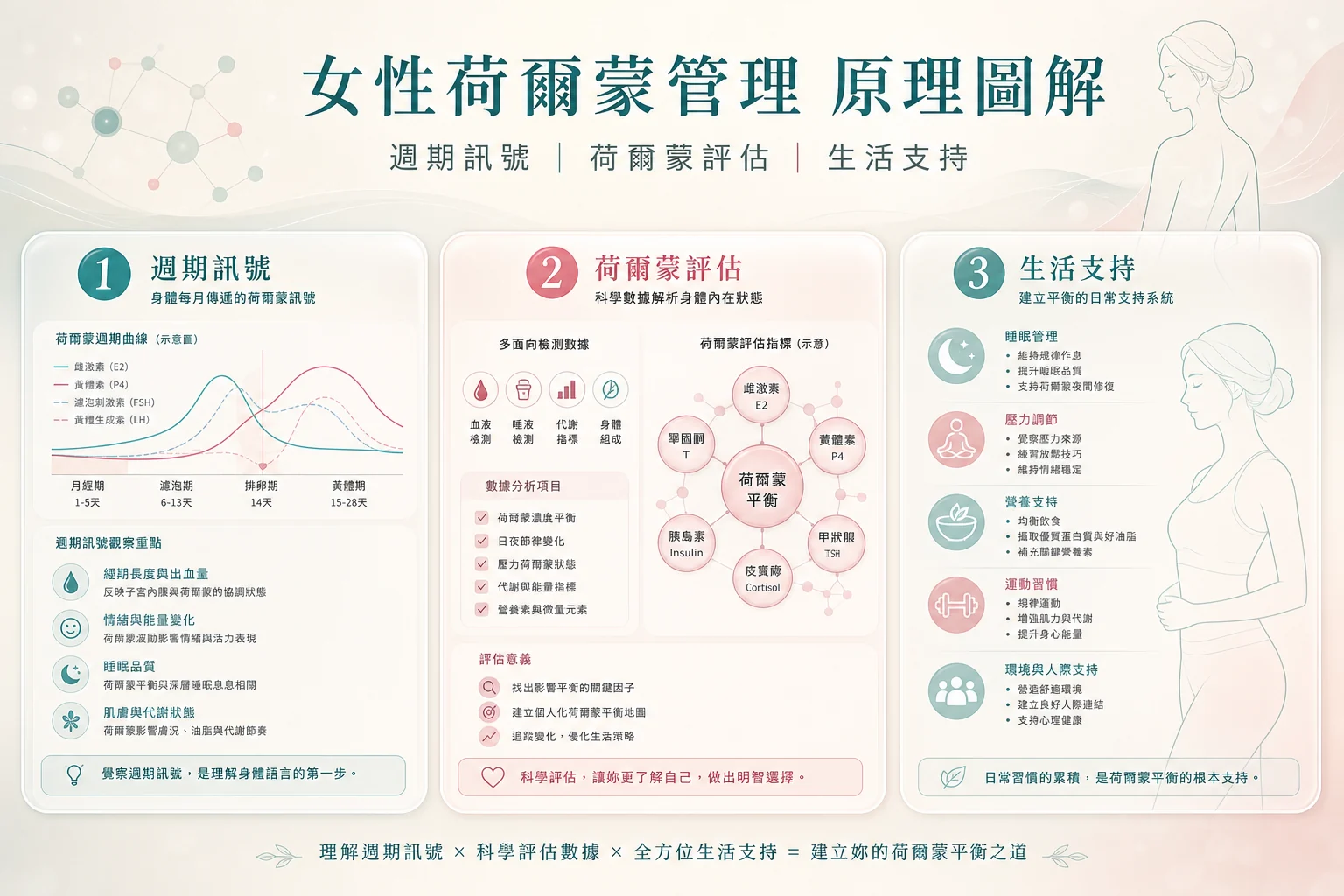 女性荷爾蒙管理原理圖